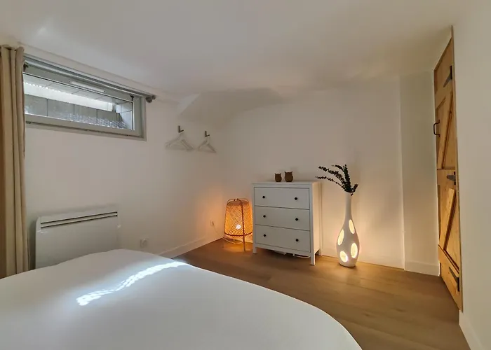 Cocon Du Tisserand - Centre - Cosy Et Intimiste 公寓 绍莱