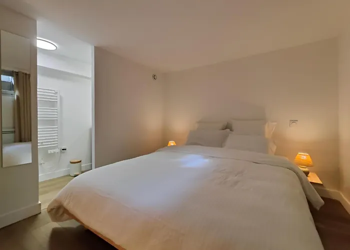 Cocon Du Tisserand - Centre - Cosy Et Intimiste 公寓 绍莱