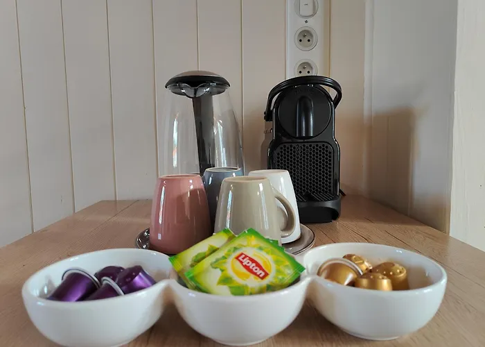 Cocon Du Tisserand - Centre - Cosy Et Intimiste 公寓 绍莱